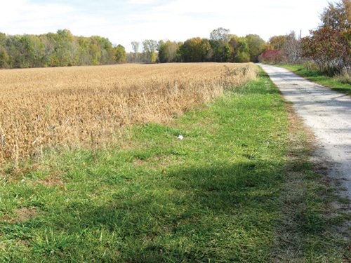 Property photo 30 - 212 Acres Offered in 6 Tracts - Selling Regardless of Price
